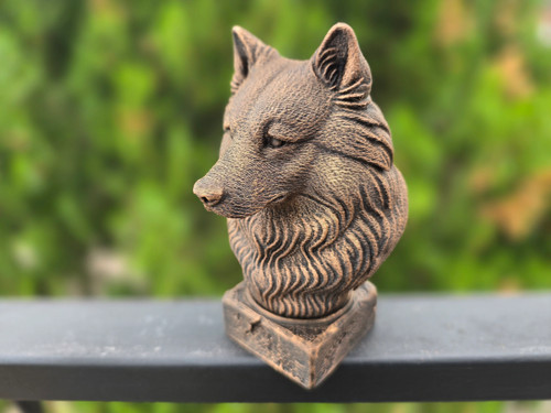 Wolf bust - wolf,