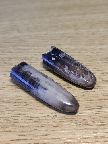 Pair polished belemnite - pair,
