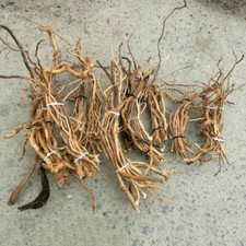 Natural Driftwood Root Trunk