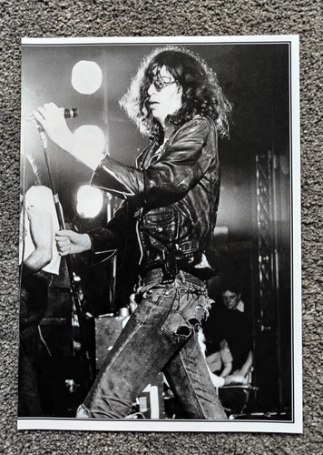 Joey ramone the ramones - ramone,
