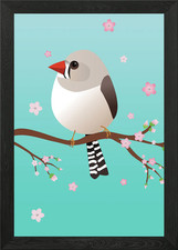 Cute female zebra finch Framed