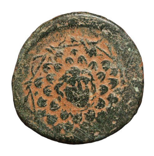 Genuine greek mithridates - genuine, vi
