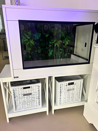 Viva vivariums white - vivariums, glass