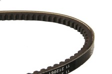 V-Belt DAYCO 10A0875C for BMW