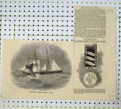 Original old antique print - original,