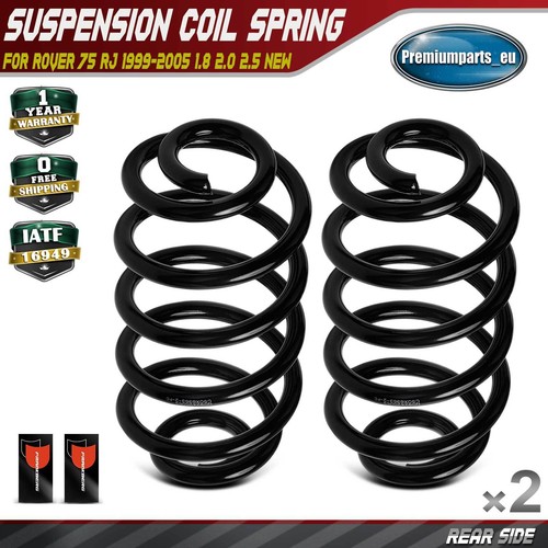 Coil springs rear side - rear, for