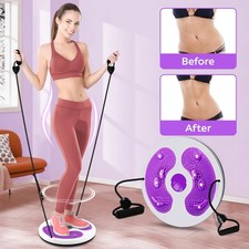 Waist Twisting Disc Board