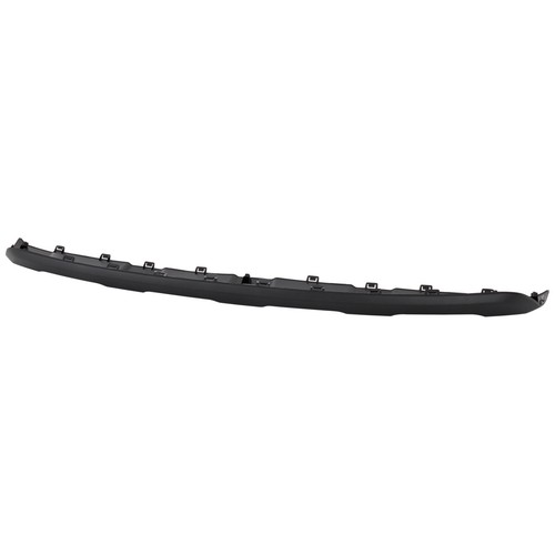Bumper face bar trim molding - trim,