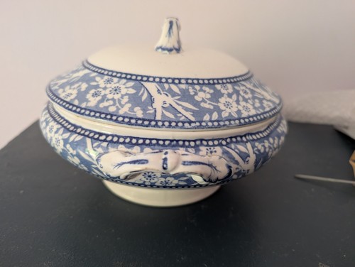 Beautiful antique wedgwood - antique,