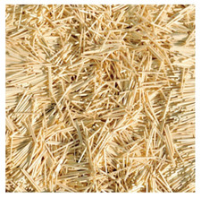 Hobbys Matchbuilder MS10000