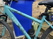 Entice Ladies Mountain Bike