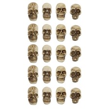 20Pcs Mini Resin Realistic