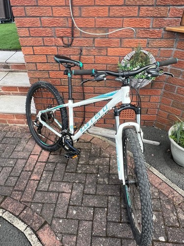 Mountain bike - mountain,