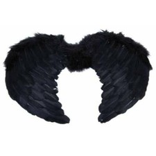 Black Wings Feather Angel Bird Crow Halloween Fancy Dress Costume Hen Night