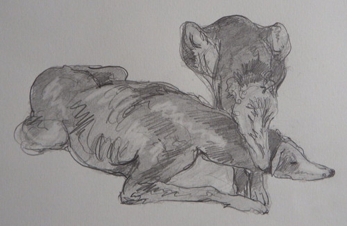 Pen ink drawing - pen, sketch