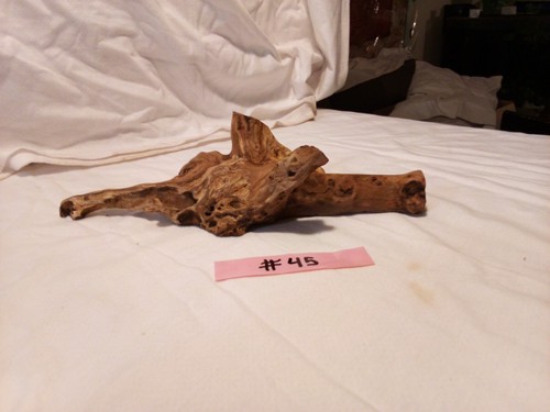 Natural manzanita wood - natural,