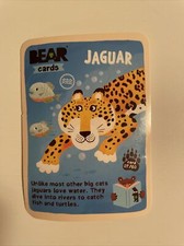 Bear Yoyo Cards - Animals
