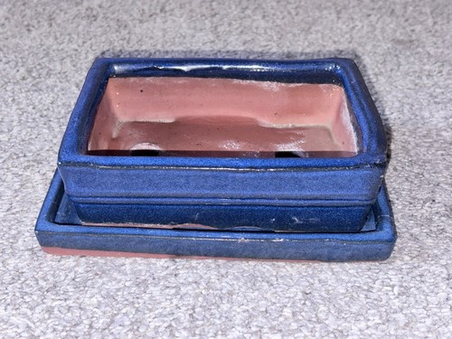 Glazed ceramic bonsai - ceramic, with
