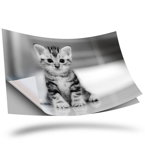Vinyl sticker bw - vinyl,