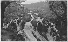 POSTCARD - WALES - THE SWALLOW