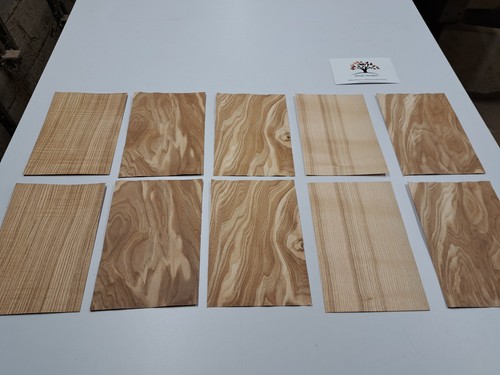 Wood veneer sample pack 10 - veneer,