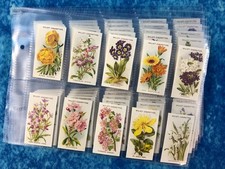 Wills's Old English Garden