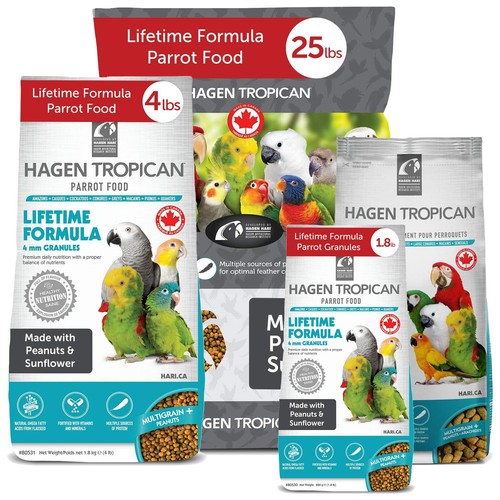 Hari tropican parrot lifetime - tropican,