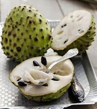 Soursop - Guanabana - Graviola