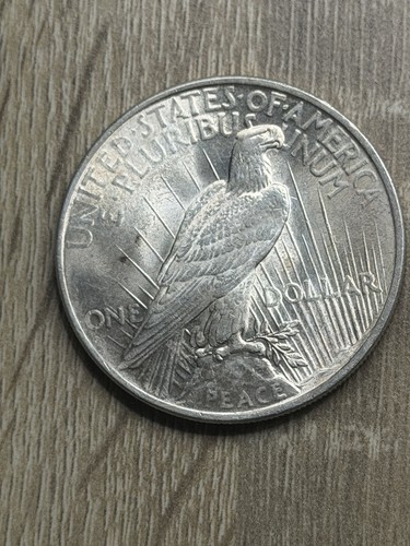 Usa peace dollar 1923 0 - peace, 0.900