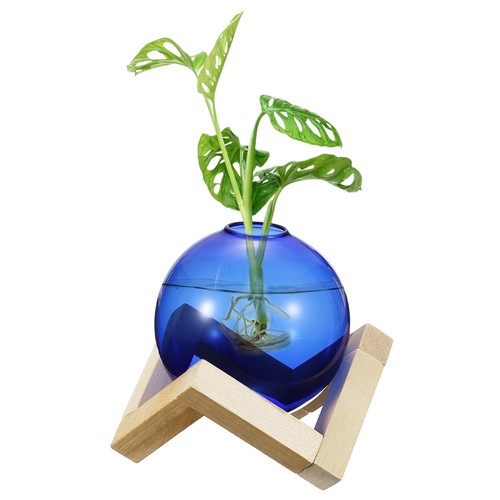 Pack glass planter - pack,