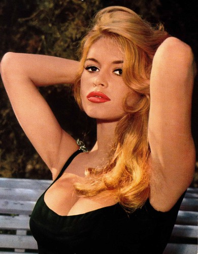 Brigitte bardot photo - brigitte,