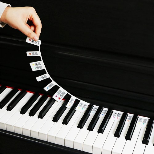 Piano keyboard note labels - keyboard,