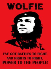 Citizen Smith Wolfie TV series