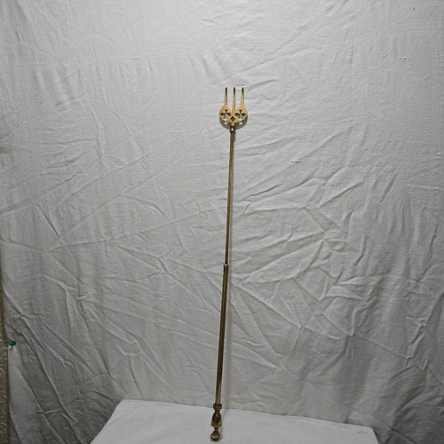 Brass extending fireside