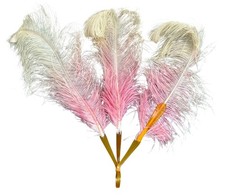 Antique vintage ostrich - vintage,