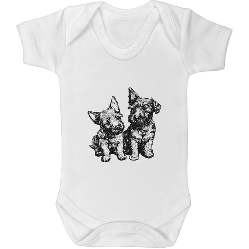 Cute scottish terrier - 'cute,