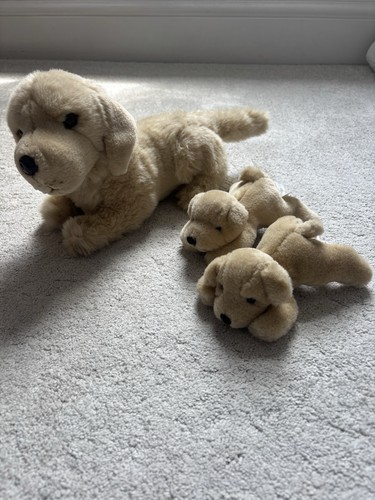 Vintage plush labrador dog and - labrador,