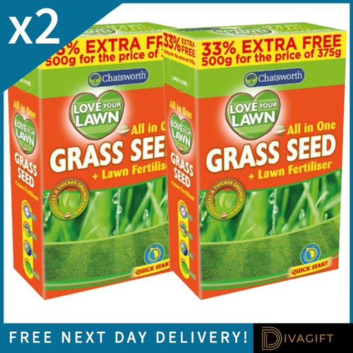 Grass seeds 500g lawn - grass,