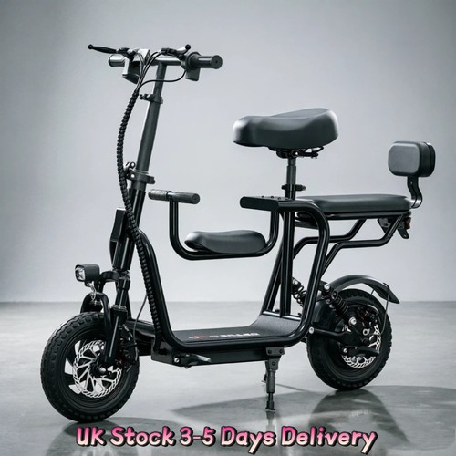 250w citybike 48v 4ah - e-citybike,