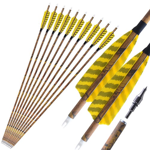 Carbon arrows sp500 - 6/12,