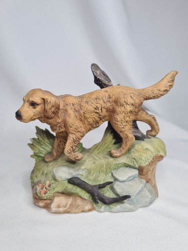 Kowa golden retriever dog - kowa,