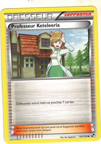 Pokemon 101 114 trainer - pokemon,