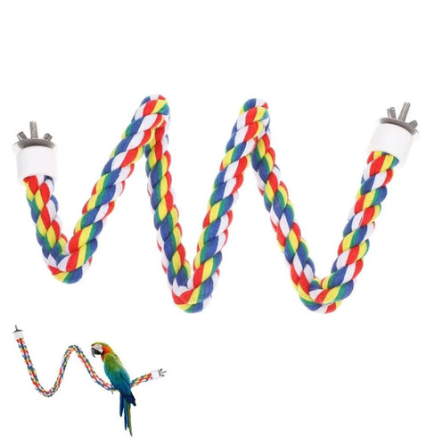 Colorful bird perch - bird, cage
