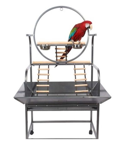 Parrot supplies texas - parrot-supplies, macaw