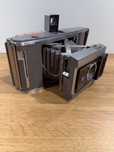 1960 vintage polaroid - vintage,