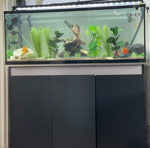 Fish tank with cabinet - tank, cabinet 