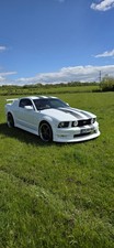 Ford mustang 2006 - ford,