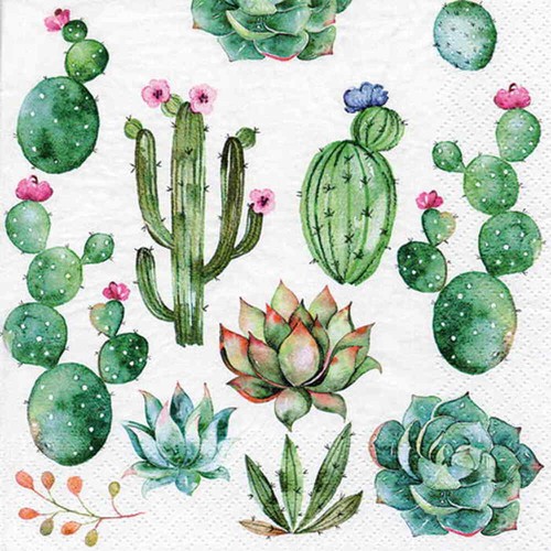 Cactus succulent party napkins - succulent,