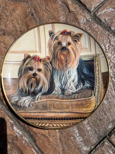 Porcelain plate yorkshire - porcelain,