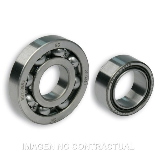 Bearings malossi sport - bearings,